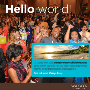 Official Launch Party