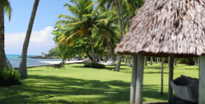 Paradise Huts!