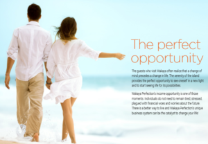 The Perfect Opportunity