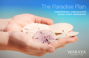 The Paradise Plan