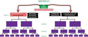 Network Marketing Matrix