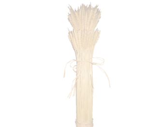 Wheats & Grains